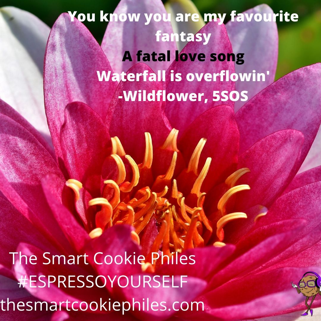 You know you are my favourite fantasy A fatal love song Waterfall is overflowin'