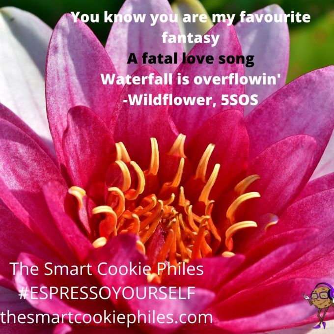 You know you are my favourite fantasy A fatal love song Waterfall is overflowin'