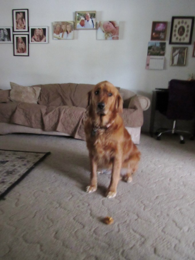 Old Mother Hubbard 030